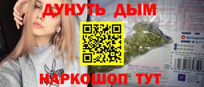 сатива Будённовск