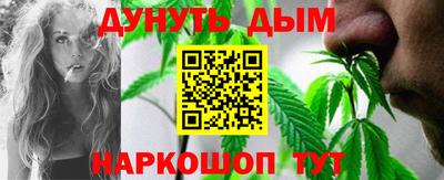 сатива Будённовск