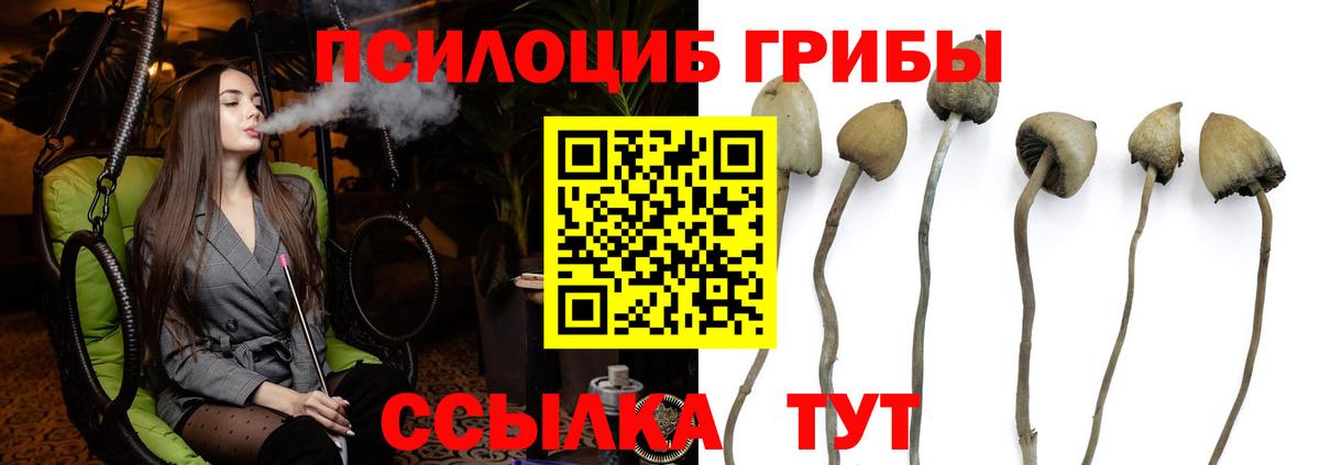 Галлюциногенные грибы MAGIC MUSHROOMS  Псилоцибиновые грибы мухоморы  Вход с VPN  как найти наркотики  Симферополь 